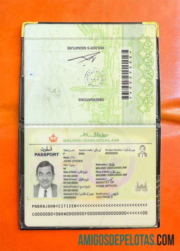 Look fotográfico do Brunei Pass baixar para verificação